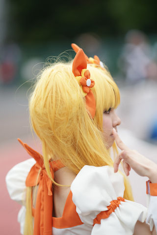 2012年12月21日江苏地区淘汰鸡价格行情‘江南体育官方网